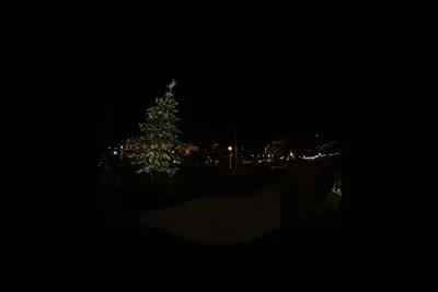 DSC_0016 (Large).JPG